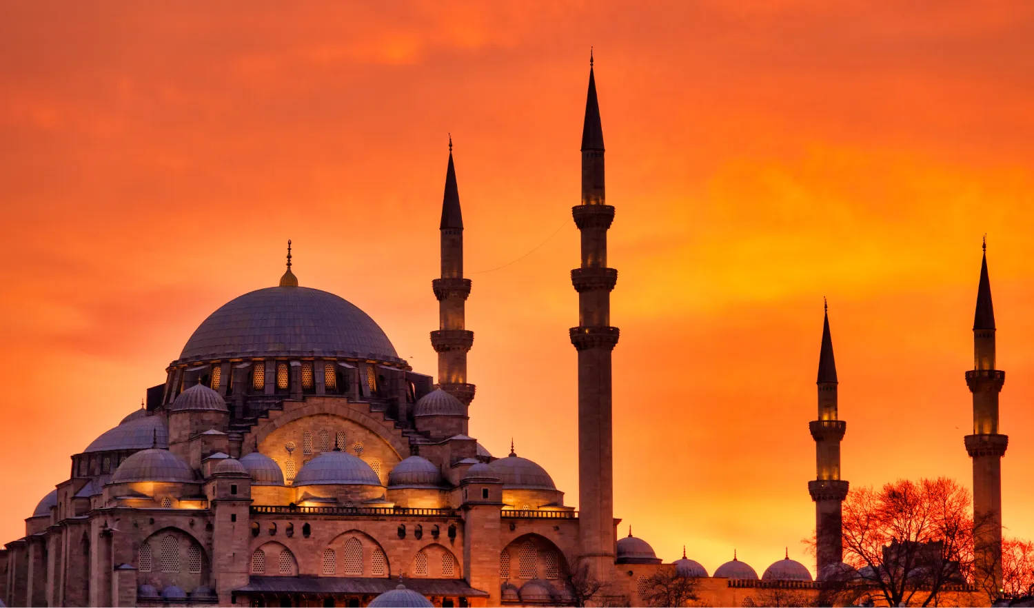 Turkey Evisa For Egypt Citizens