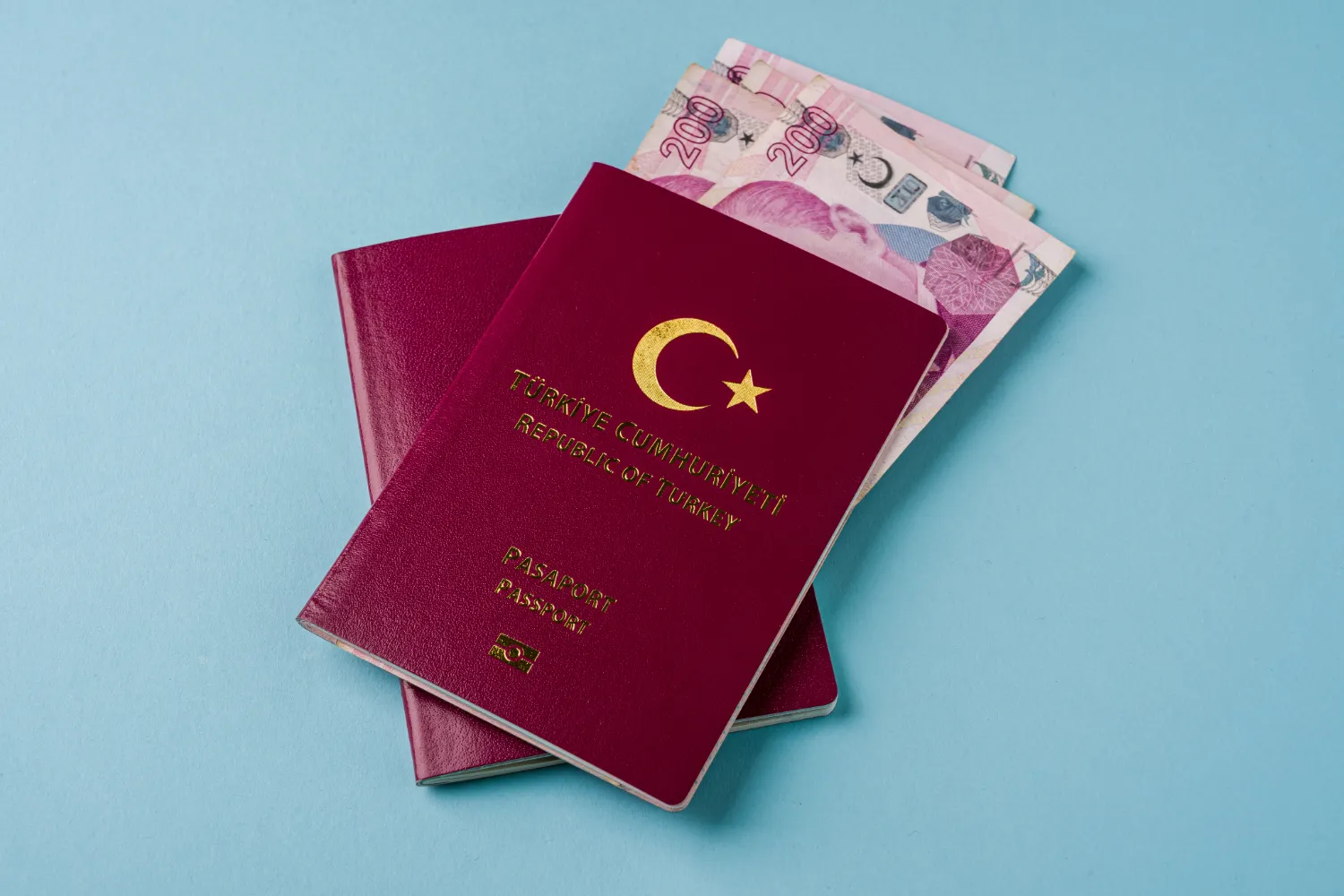 Fix Turkey eVisa Name Mistake with Expert Review